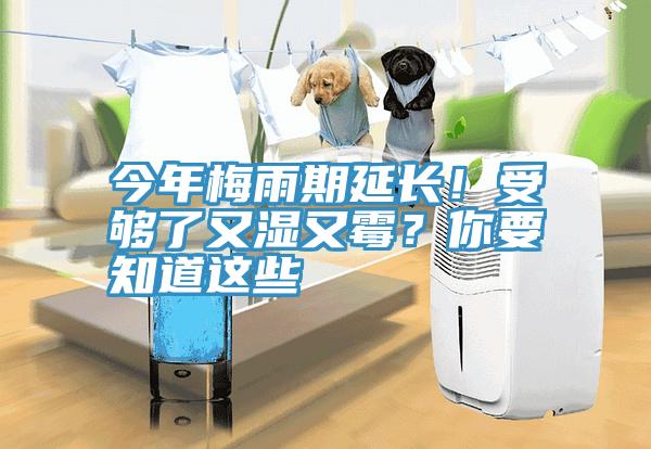 今年梅雨期延長！受夠了又濕又霉？你要知道這些