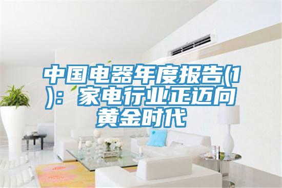 中國電器年度報告(1)：家電行業正邁向黃金時代