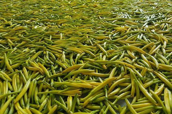 無硫金針菜烘干如何保持品相？不發黑？_除濕機廠家