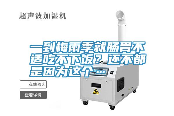 一到梅雨季就腸胃不適吃不下飯？還不都是因為這個…