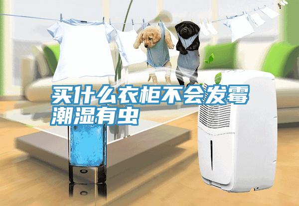 買什么衣柜不會發霉潮濕有蟲