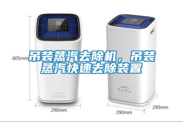 吊裝蒸汽去除機，吊裝蒸汽快速去除裝置