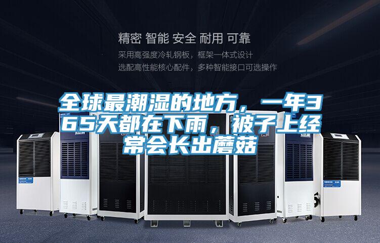 全球最潮濕的地方，一年365天都在下雨，被子上經常會長出蘑菇