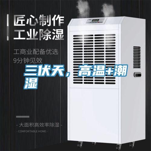 三伏天，高溫+潮濕