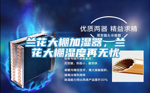 蘭花大棚加濕器，蘭花大棚濕度再無憂