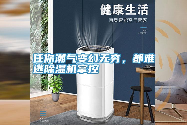 任你潮氣變幻無窮，都難逃除濕機掌控