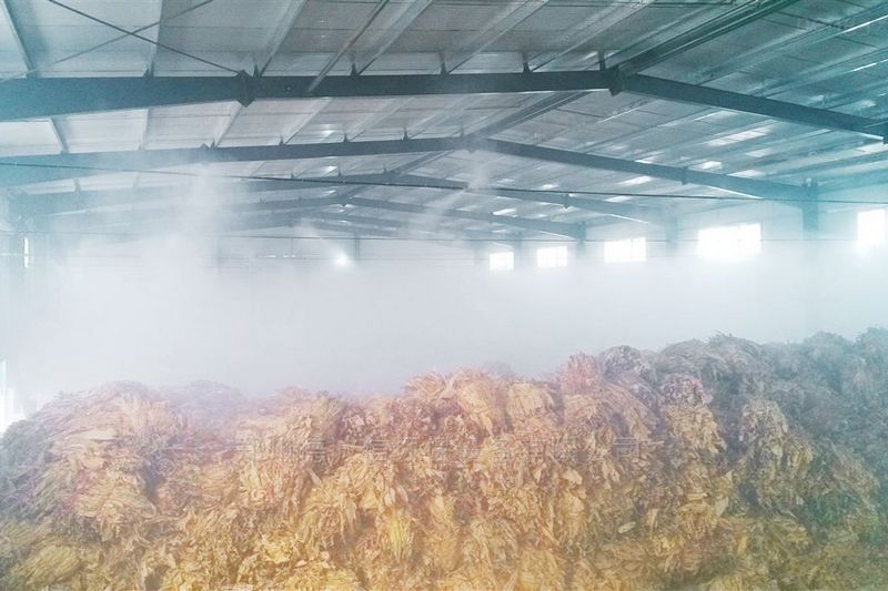 提升煙葉加工質量，高效回潮很重要