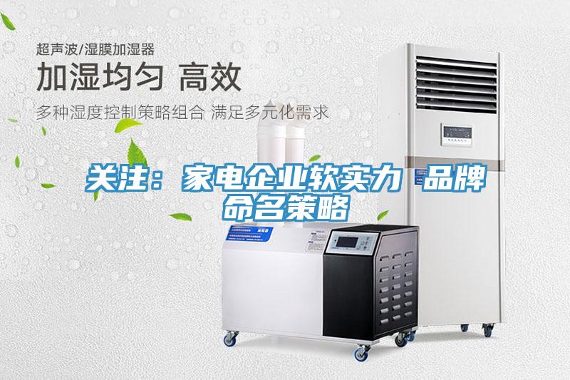 關注：家電企業軟實力 品牌命名策略