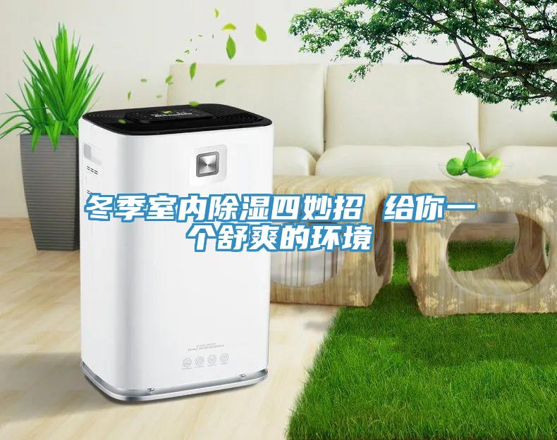 冬季室內除濕四妙招 給你一個舒爽的環境