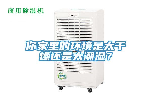 你家里的環境是太干燥還是太潮濕？