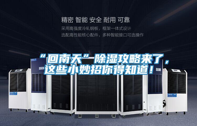 “回南天”除濕攻略來了，這些小妙招你得知道！