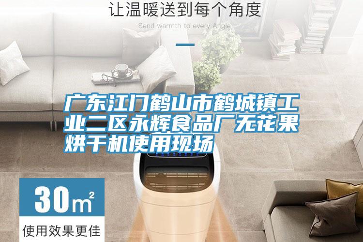 廣東江門鶴山市鶴城鎮工業二區永輝食品廠無花果烘干機使用現場