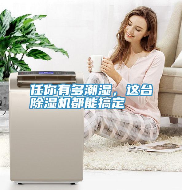 任你有多潮濕，這臺除濕機都能搞定