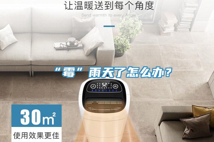 “霉”雨天了怎么辦？