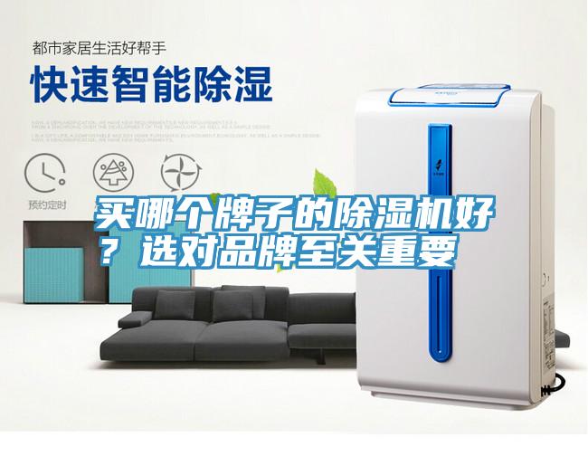 買哪個牌子的除濕機好？選對品牌至關重要
