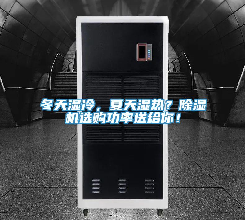 冬天濕冷，夏天濕熱？除濕機選購功率送給你！