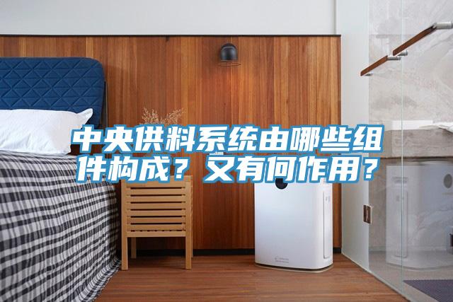 中央供料系統由哪些組件構成？又有何作用？