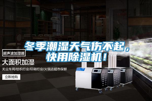 冬季潮濕天氣傷不起，快用除濕機！