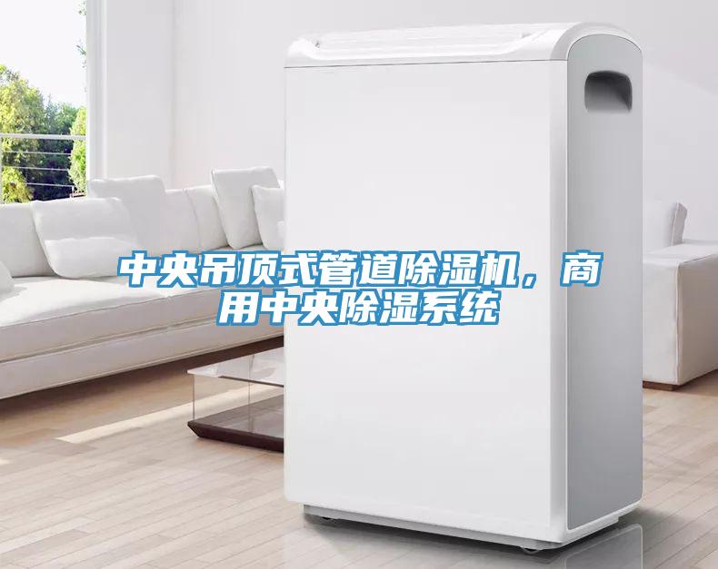 中央吊頂式管道除濕機，商用中央除濕系統