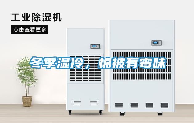 冬季濕冷，棉被有霉味