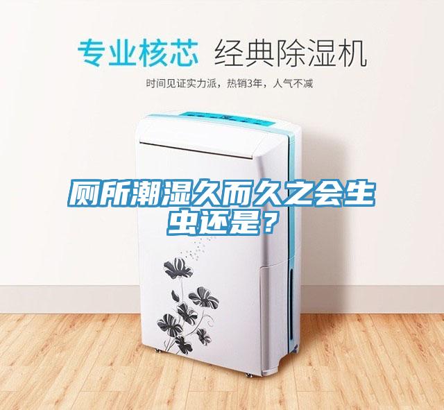 廁所潮濕久而久之會生蟲還是？
