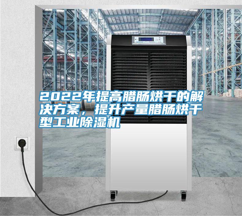 2022年提高臘腸烘干的解決方案，提升產量臘腸烘干型工業除濕機