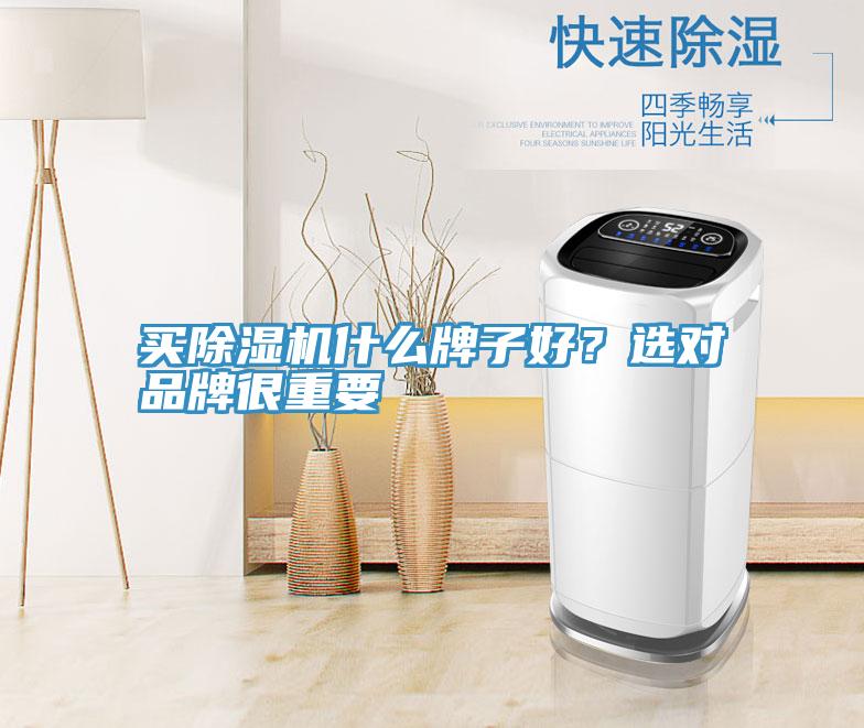 買除濕機什么牌子好？選對品牌很重要
