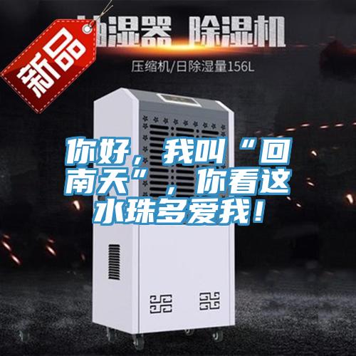 你好，我叫“回南天”，你看這水珠多愛我！