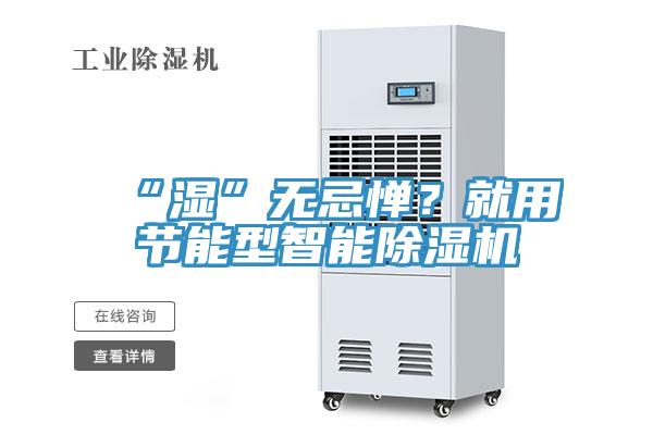 “濕”無忌憚？就用節能型智能除濕機