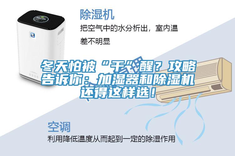冬天怕被“干”醒？攻略告訴你：加濕器和除濕機還得這樣選！