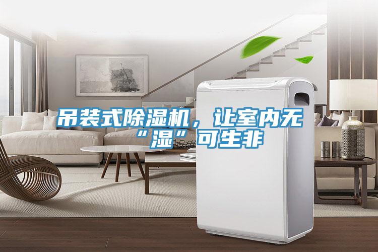吊裝式除濕機，讓室內無“濕”可生非