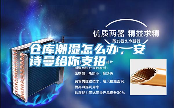 倉庫潮濕怎么辦，安詩曼給你支招