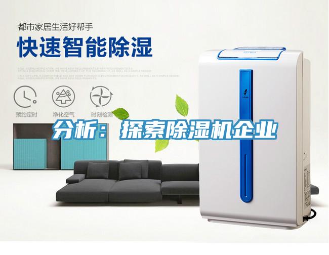 分析：探索除濕機企業