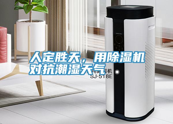 人定勝天，用除濕機對抗潮濕天氣