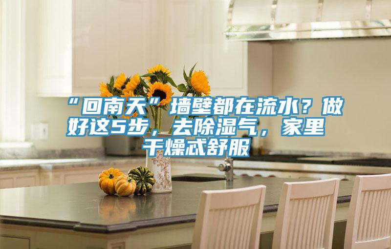 “回南天”墻壁都在流水？做好這5步，去除濕氣，家里干燥忒舒服