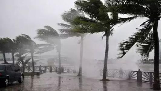8月臺風雨即將來，除濕機還得用起來