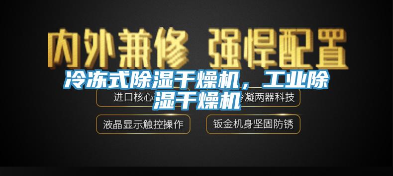冷凍式除濕干燥機，工業除濕干燥機