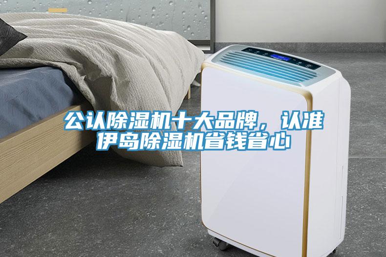 公認除濕機十大品牌，認準伊島除濕機省錢省心
