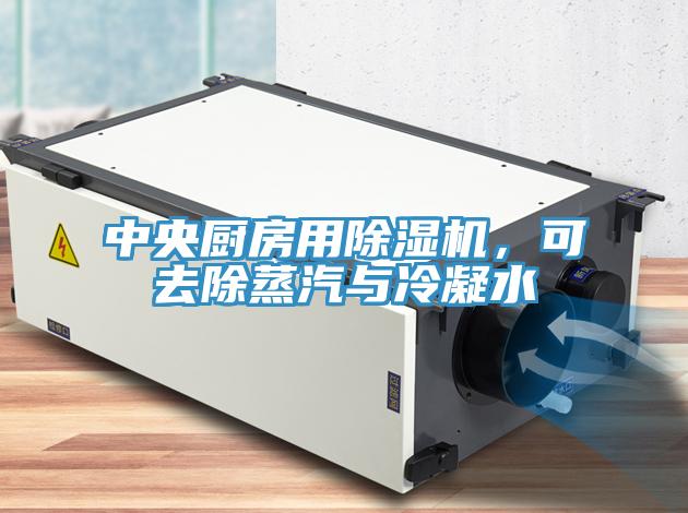 中央廚房用除濕機，可去除蒸汽與冷凝水