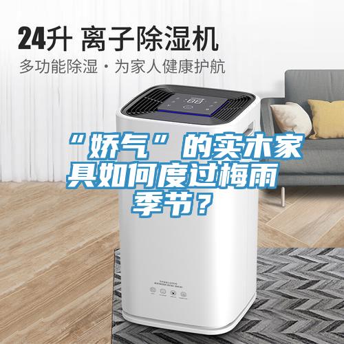 “嬌氣”的實木家具如何度過梅雨季節？