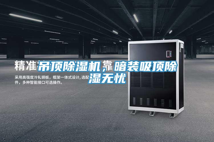 吊頂除濕機，暗裝吸頂除濕無憂