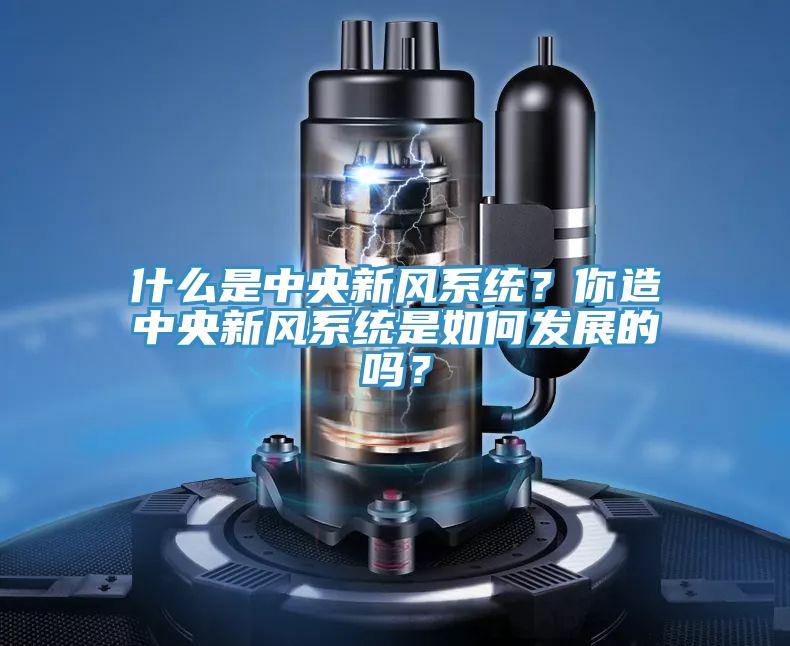 什么是中央新風系統？你造中央新風系統是如何發展的嗎？