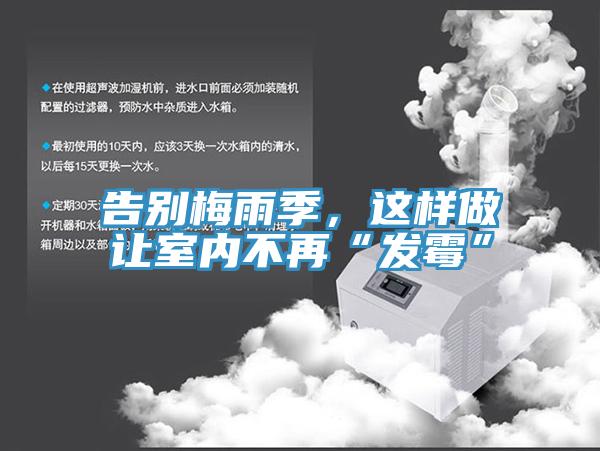 告別梅雨季，這樣做讓室內不再“發霉”