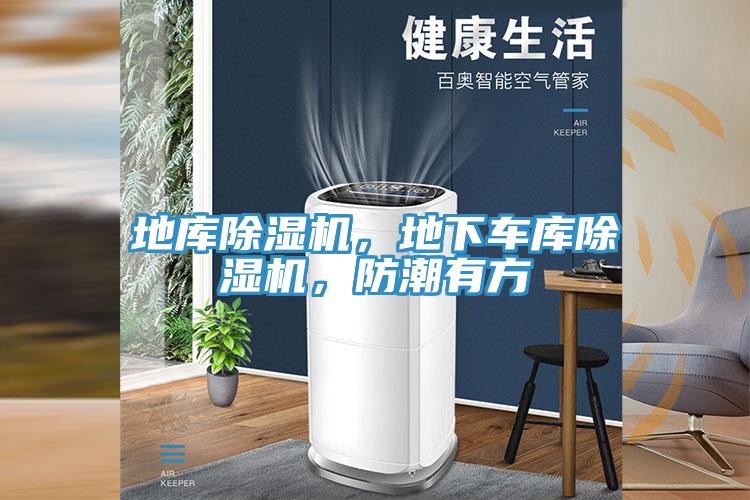 地庫除濕機，地下車庫除濕機，防潮有方