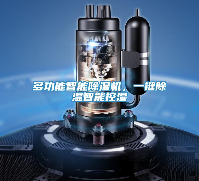 多功能智能除濕機，一鍵除濕智能控濕