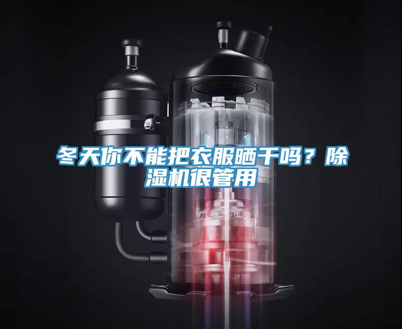 冬天你不能把衣服曬干嗎？除濕機很管用