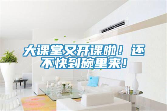 大課堂又開課啦！還不快到碗里來！