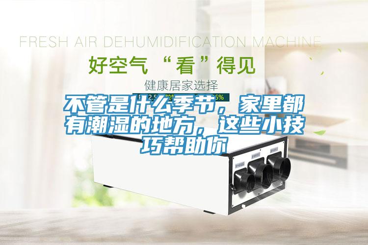 不管是什么季節，家里都有潮濕的地方，這些小技巧幫助你
