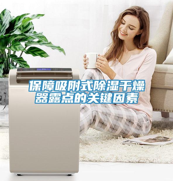 保障吸附式除濕干燥器露點的關鍵因素