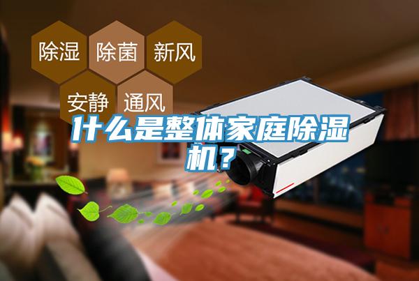 什么是整體家庭除濕機？